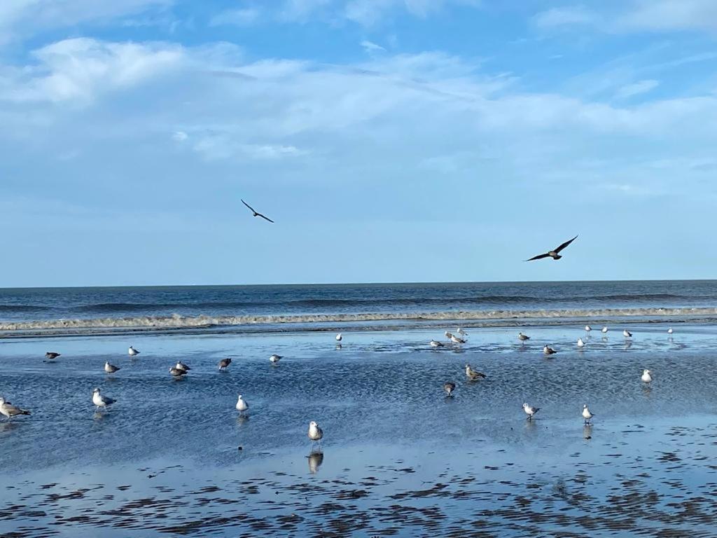 L'Escale A Deauville Kültér fotó